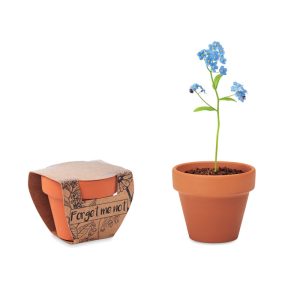 Pot graines de myosotis - FORGET ME NOT