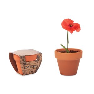 Pot graines de coquelicot - RED POPPY