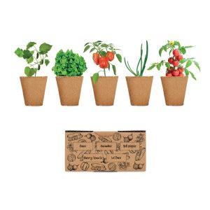 Kit de culture de salade - SALAD