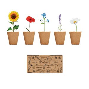 Kit de culture de fleurs - FLOWERS