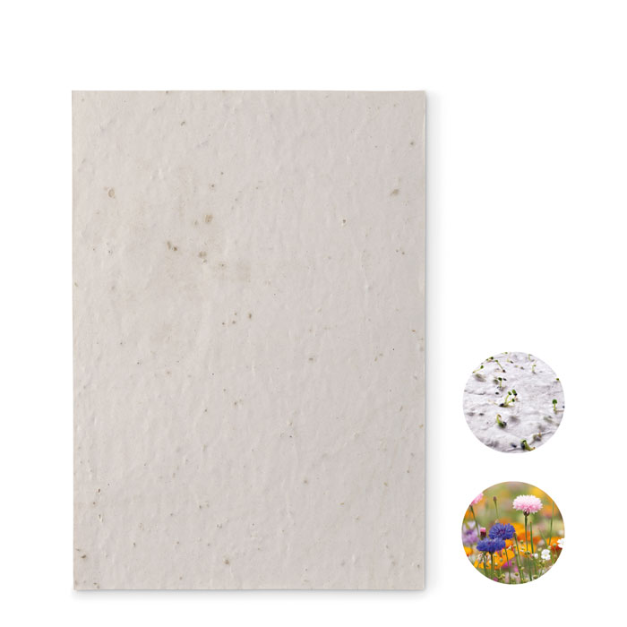 Papier A5 graines de fleurs - ASIDE