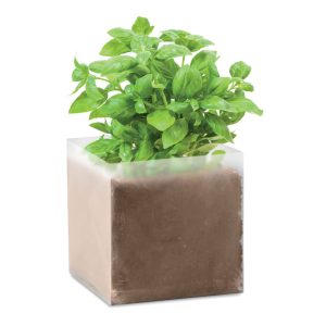 Substrat avec graines Basilic. - BASIL