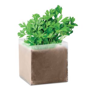 Substrat avec graines Persil - PARSELY