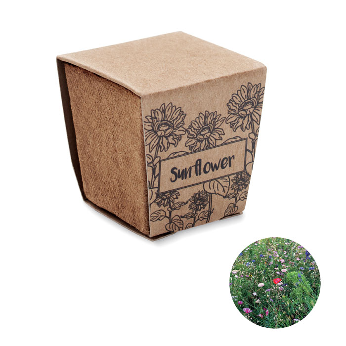Kit de tournesol - SUNFLOWER KIT